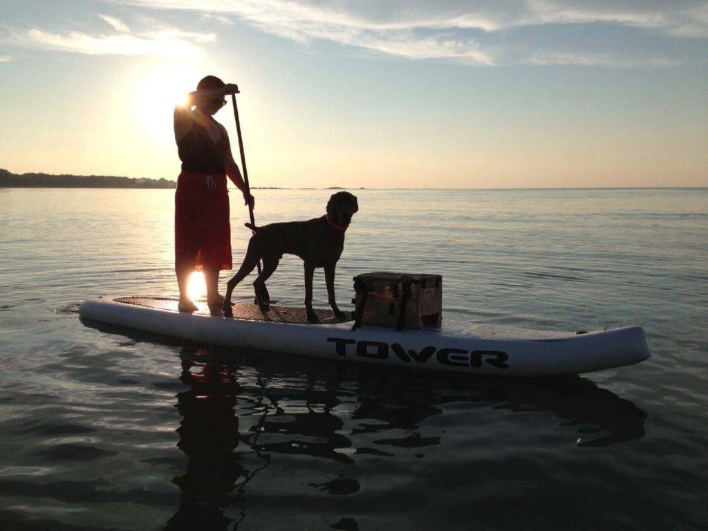 Dog on a SUP