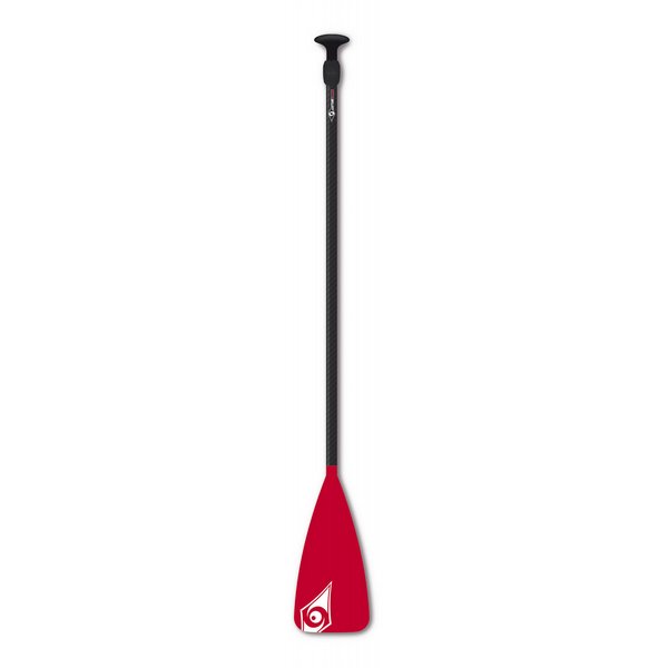 BIC fiberglass-polycarbonate SUP paddle