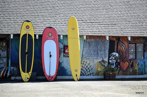 Paddle Board Rentals