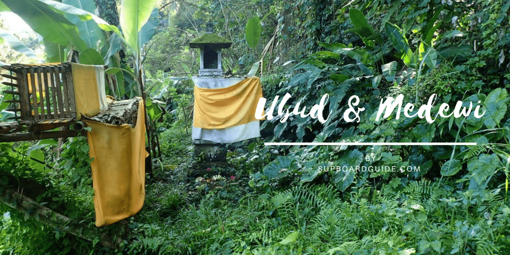 Travel Blog Ubud & Medewi Bali