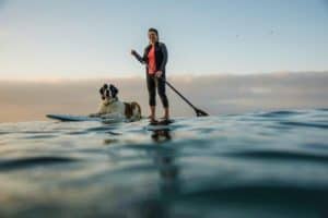 Man's best friend can also be your best SUP buddy.