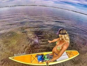 A casual paddler seems to have caught the eye of a curious onlooker. Most probably a Manatee that is looking for attention!