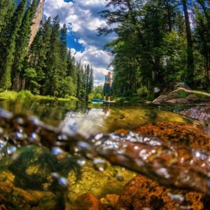 One of the reasons why stand-up paddleboarding has become a global phenomenon is because you can literally do it in any body of water. Here you can see SUPer Skye Rainey take on the rivers of Yosemite Valley.
