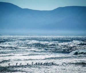 The annual Red Bull Heavy Water Race proved to be a challenge even for the world's best SUP athletes. The weather forecast that day mentioned huge swells down San Fransisco. Apparently, it was evident on race day, just look at the photo.