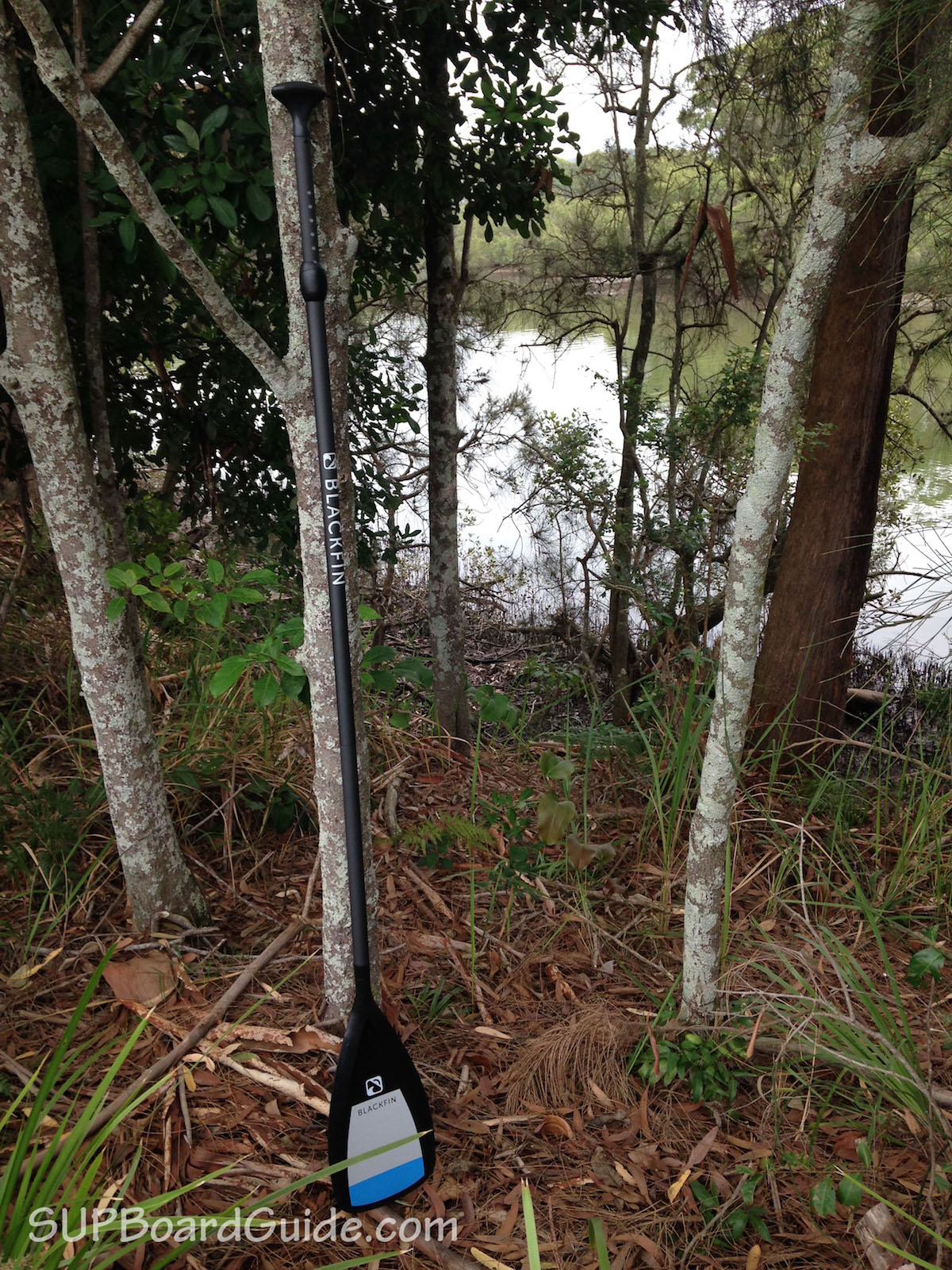 Carbon Black Paddle