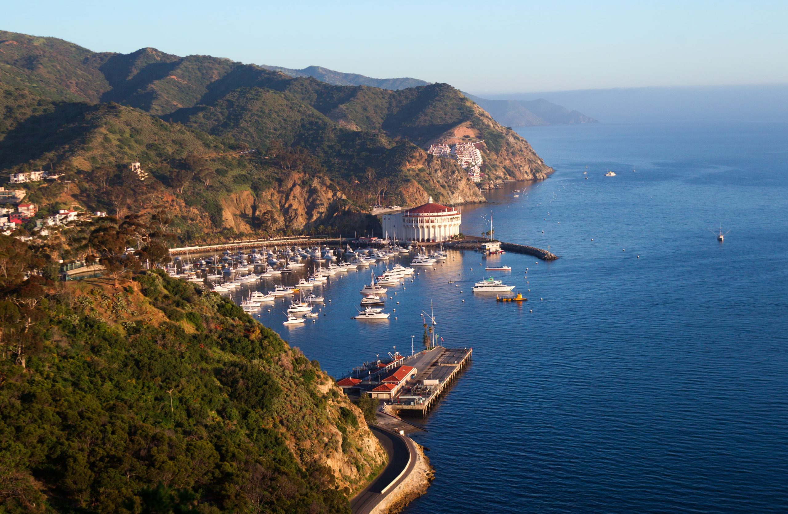 Catalina Island Paddleboard