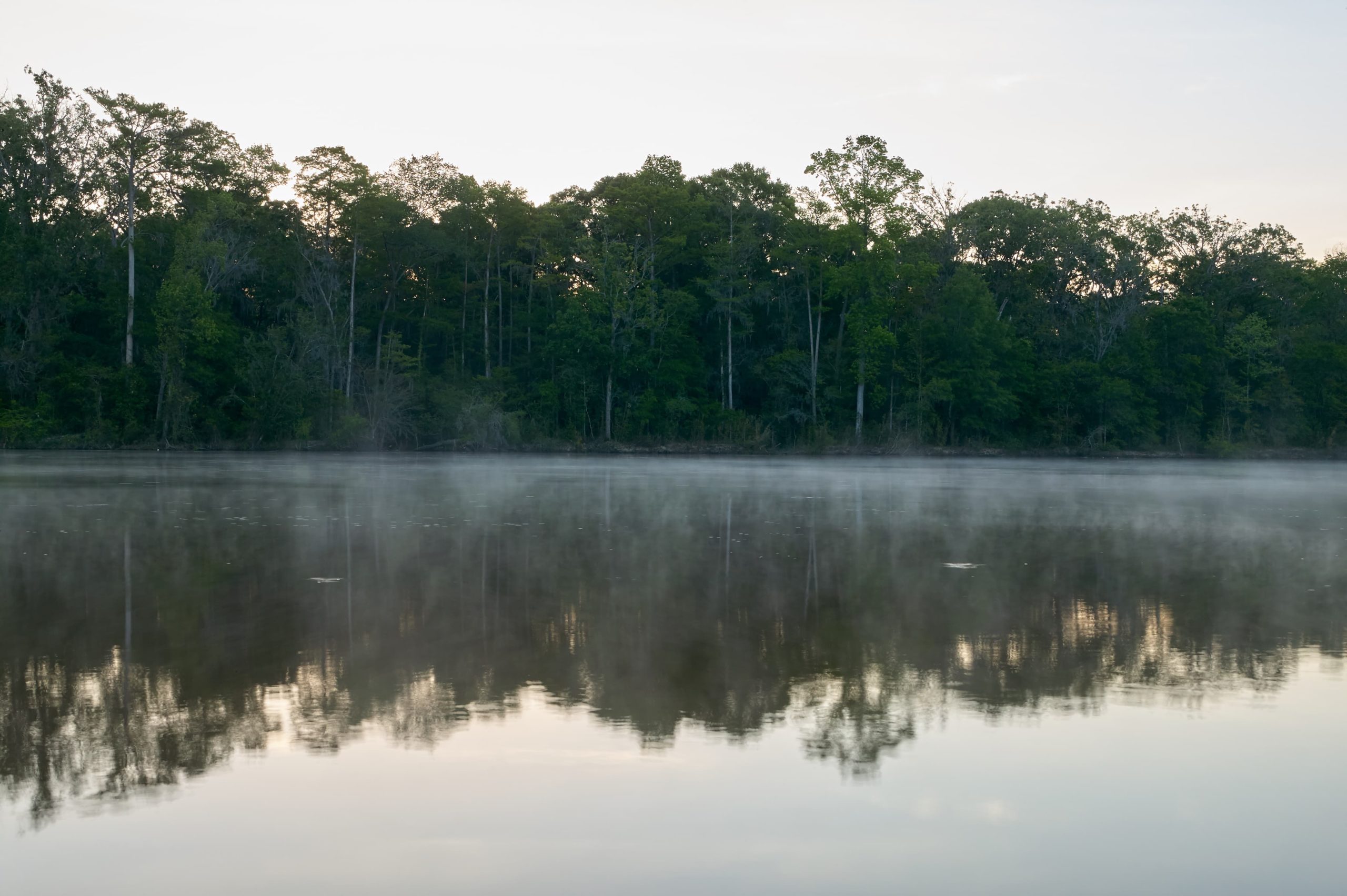 Altamaha River Paddleboard