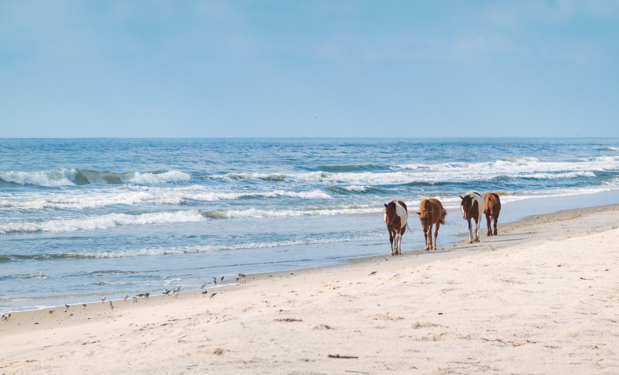 Assateague Island State Park SUP