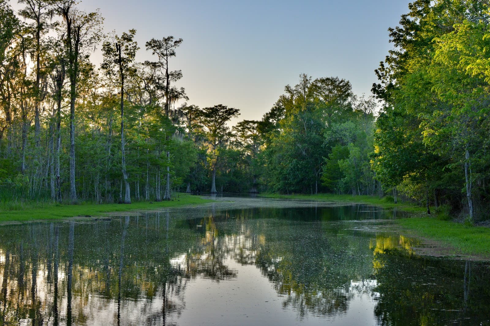 Bayou Lafourche SUP