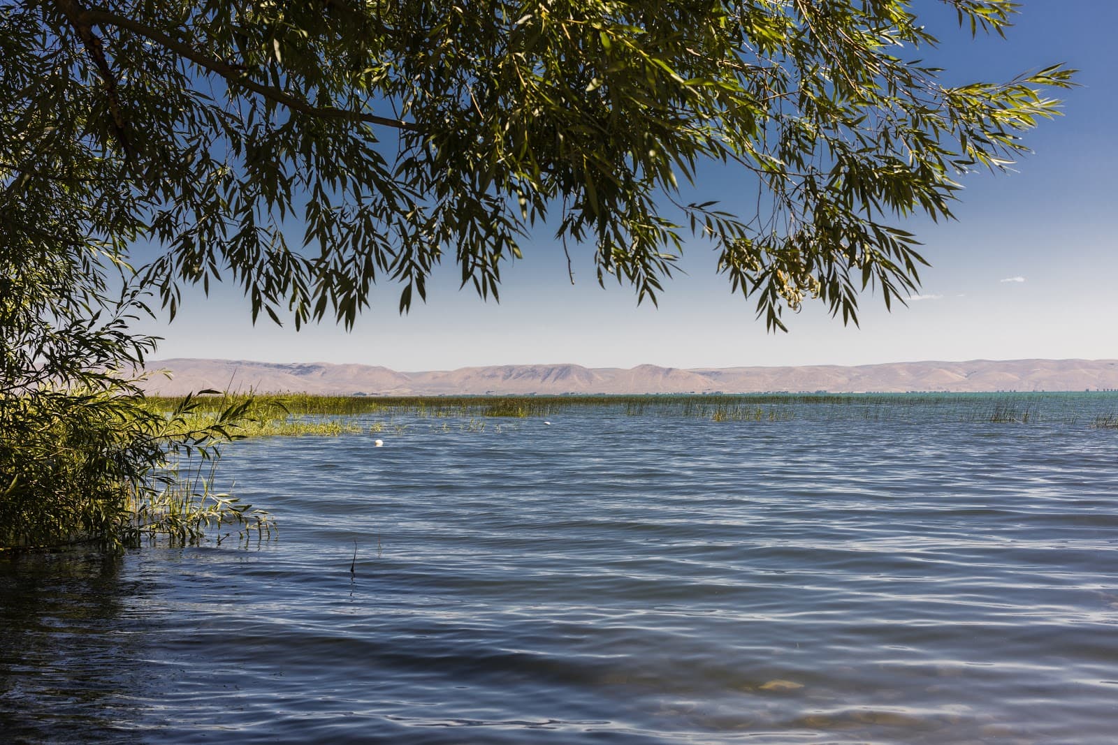 Bear Lake SUP