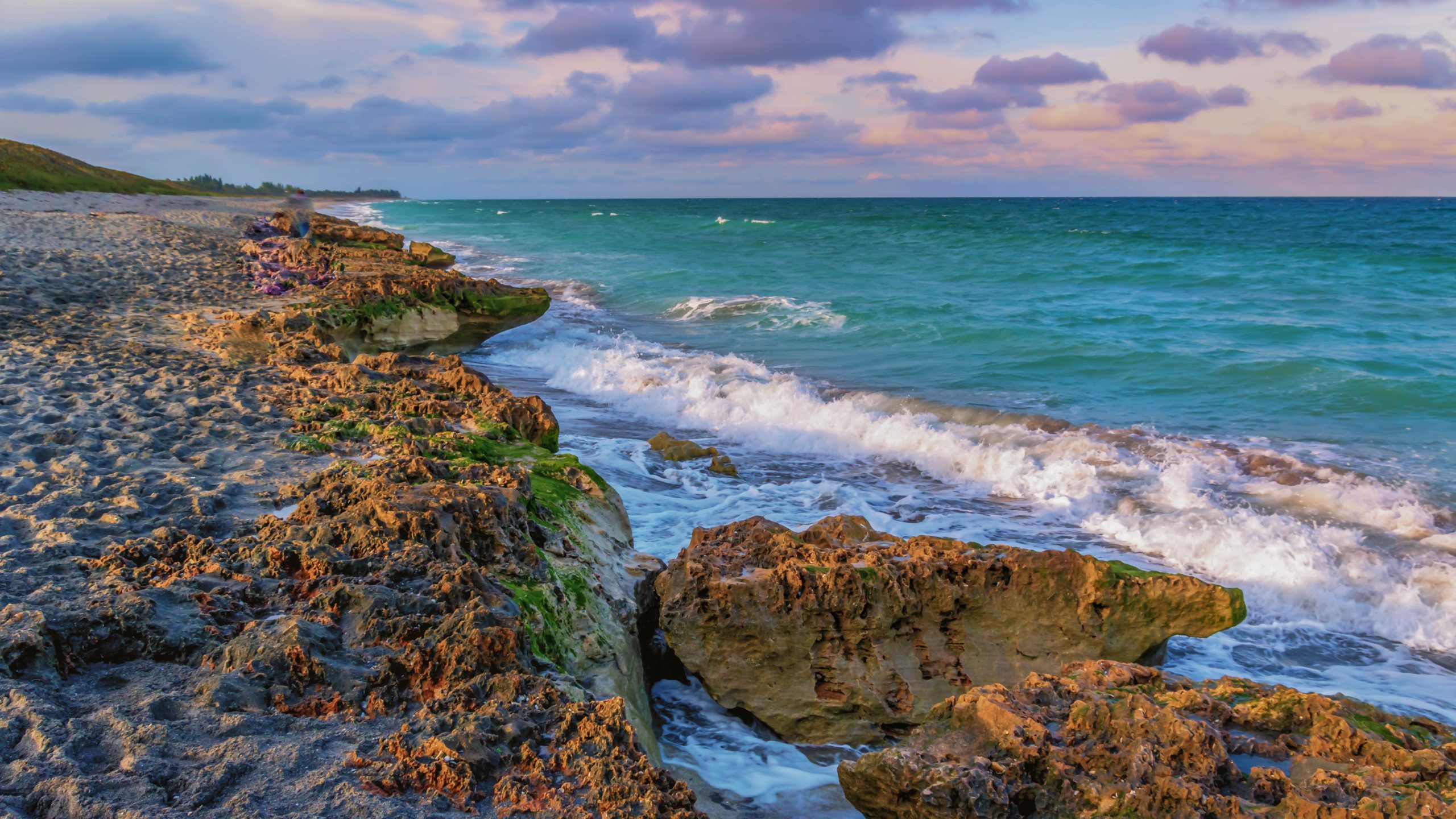 Blowing Rocks Preserve Paddleboard 