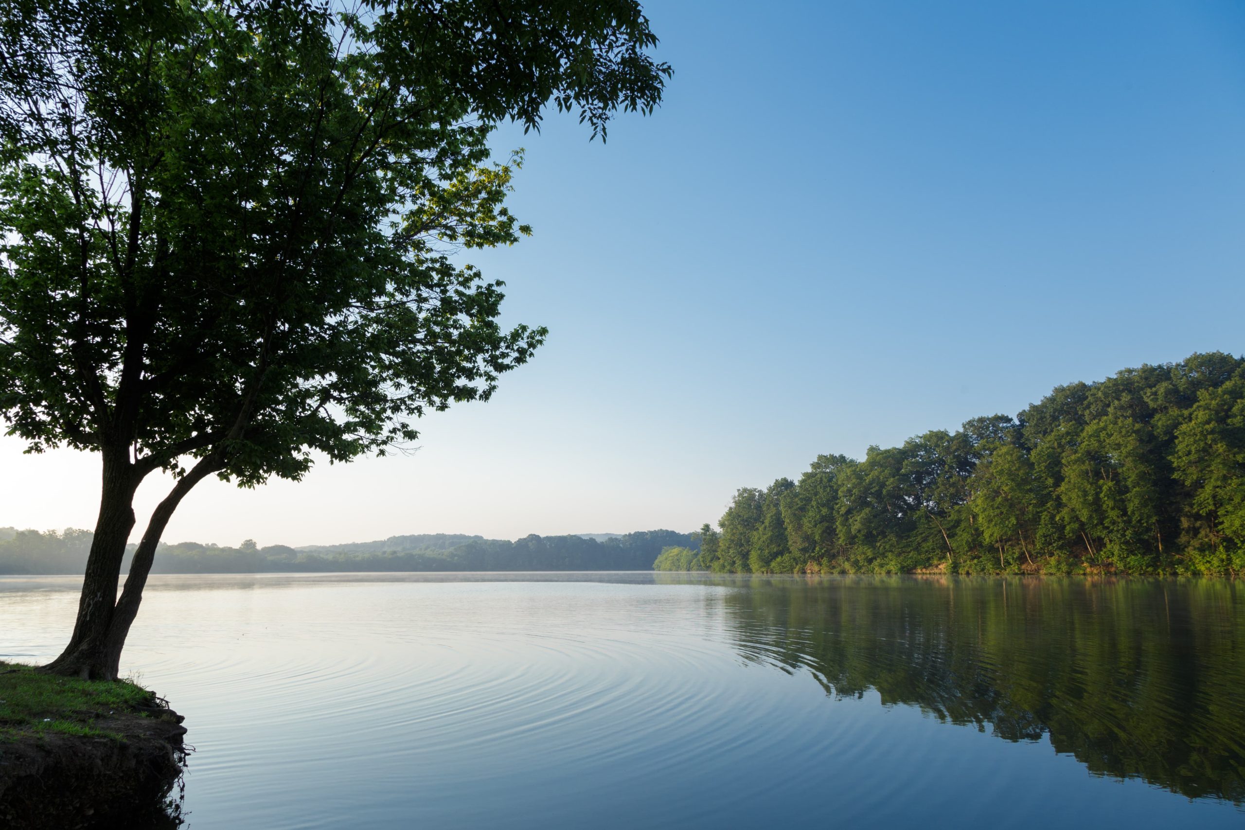 Blue Marsh Lake SUP