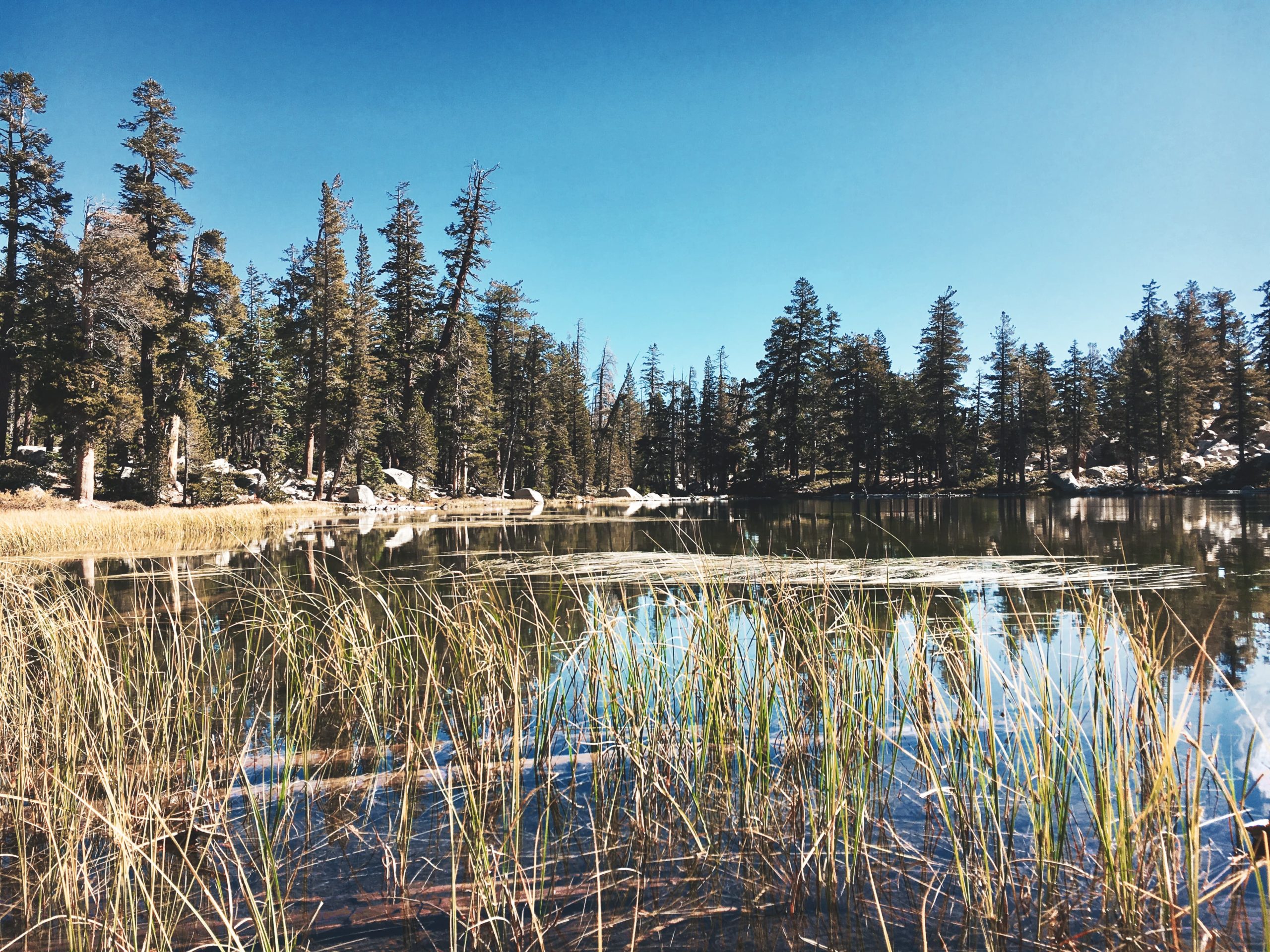 Cold Lakes SUP