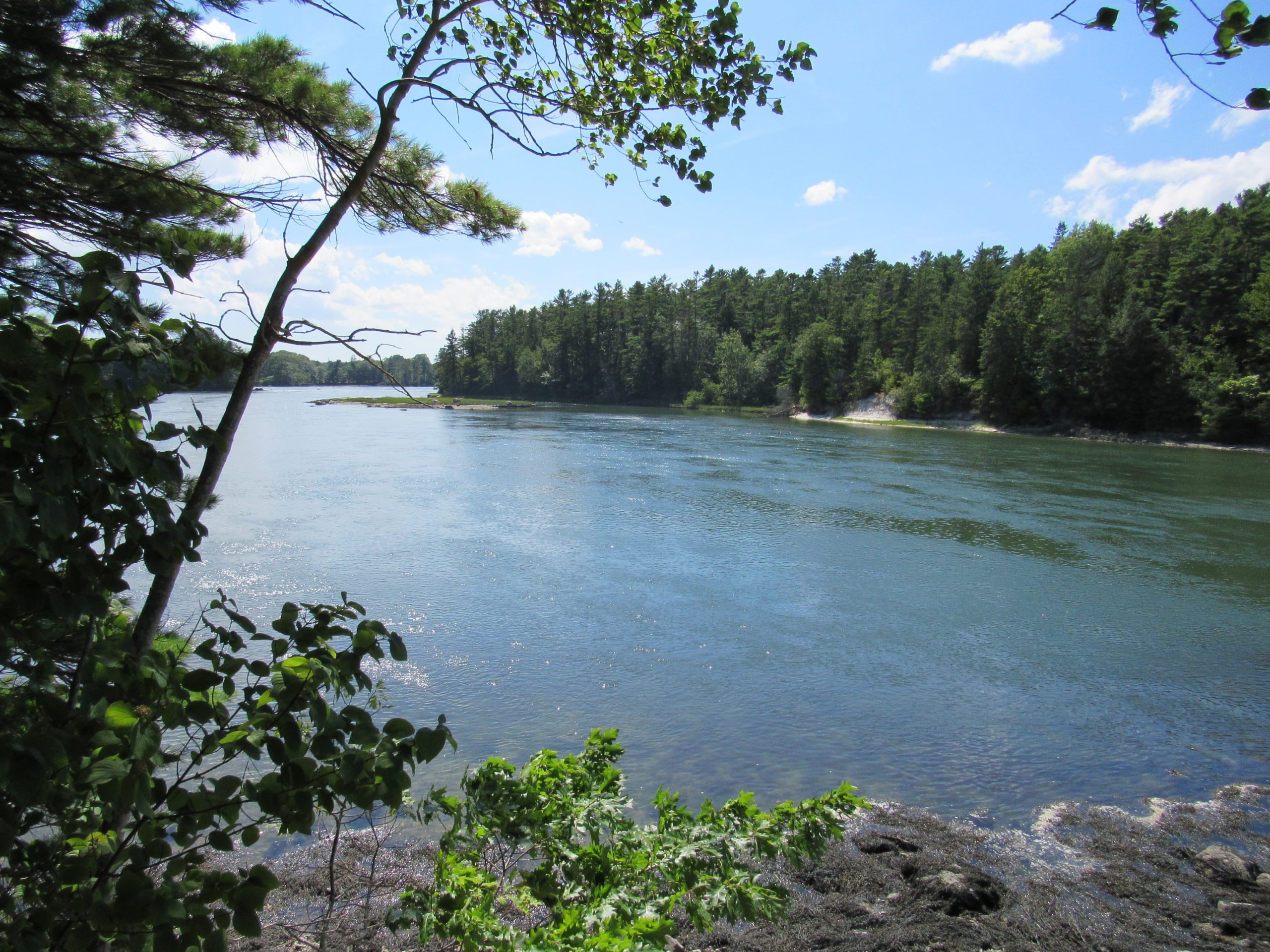 Damariscotta River SU