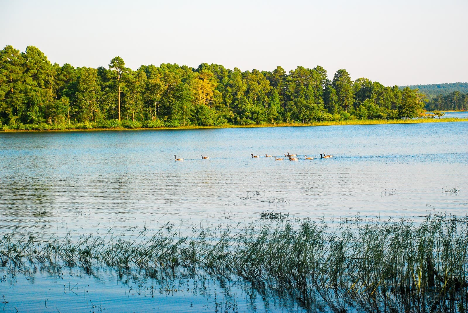 DeGray Lake Paddleboard