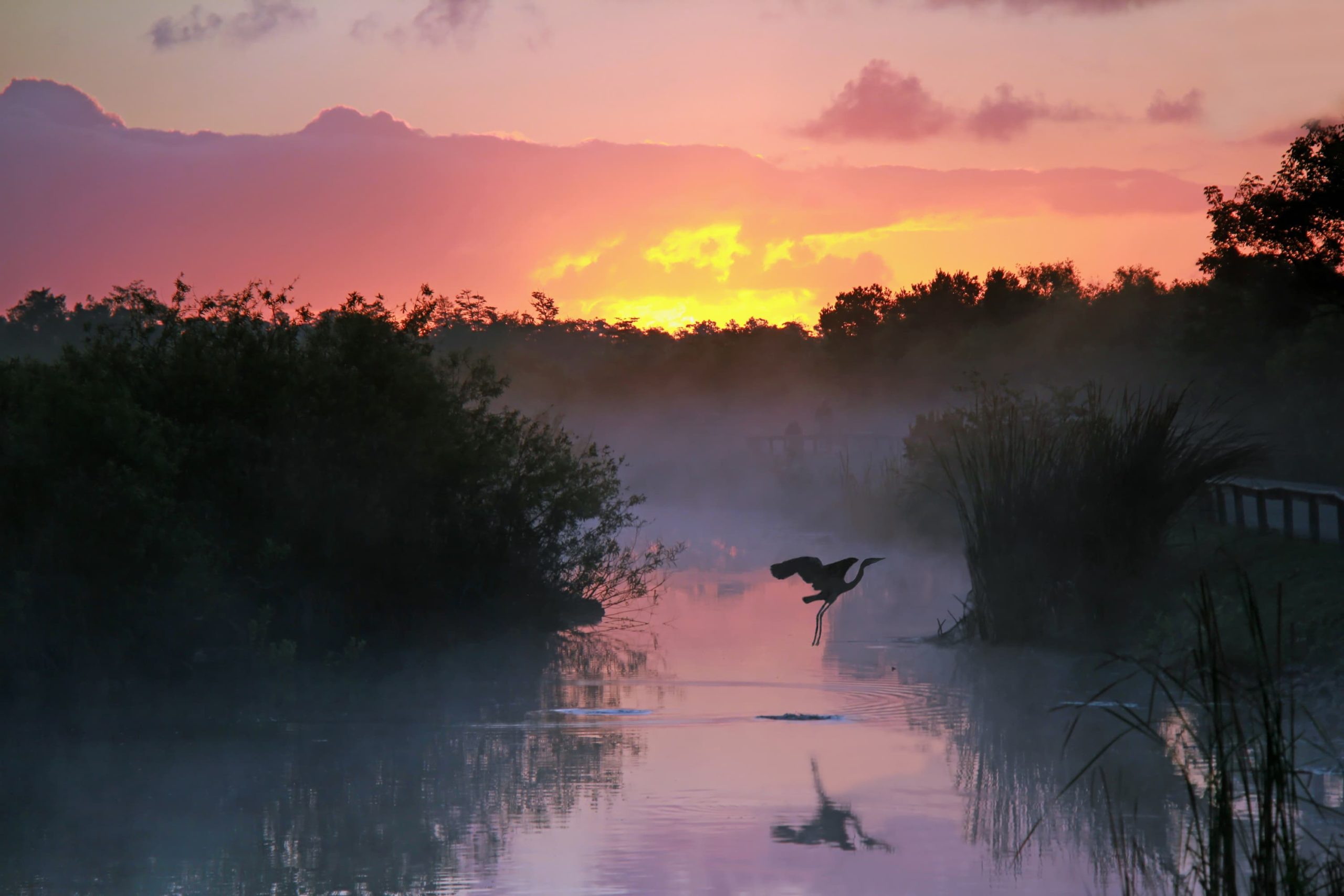 Everglades National Park Paddleboard