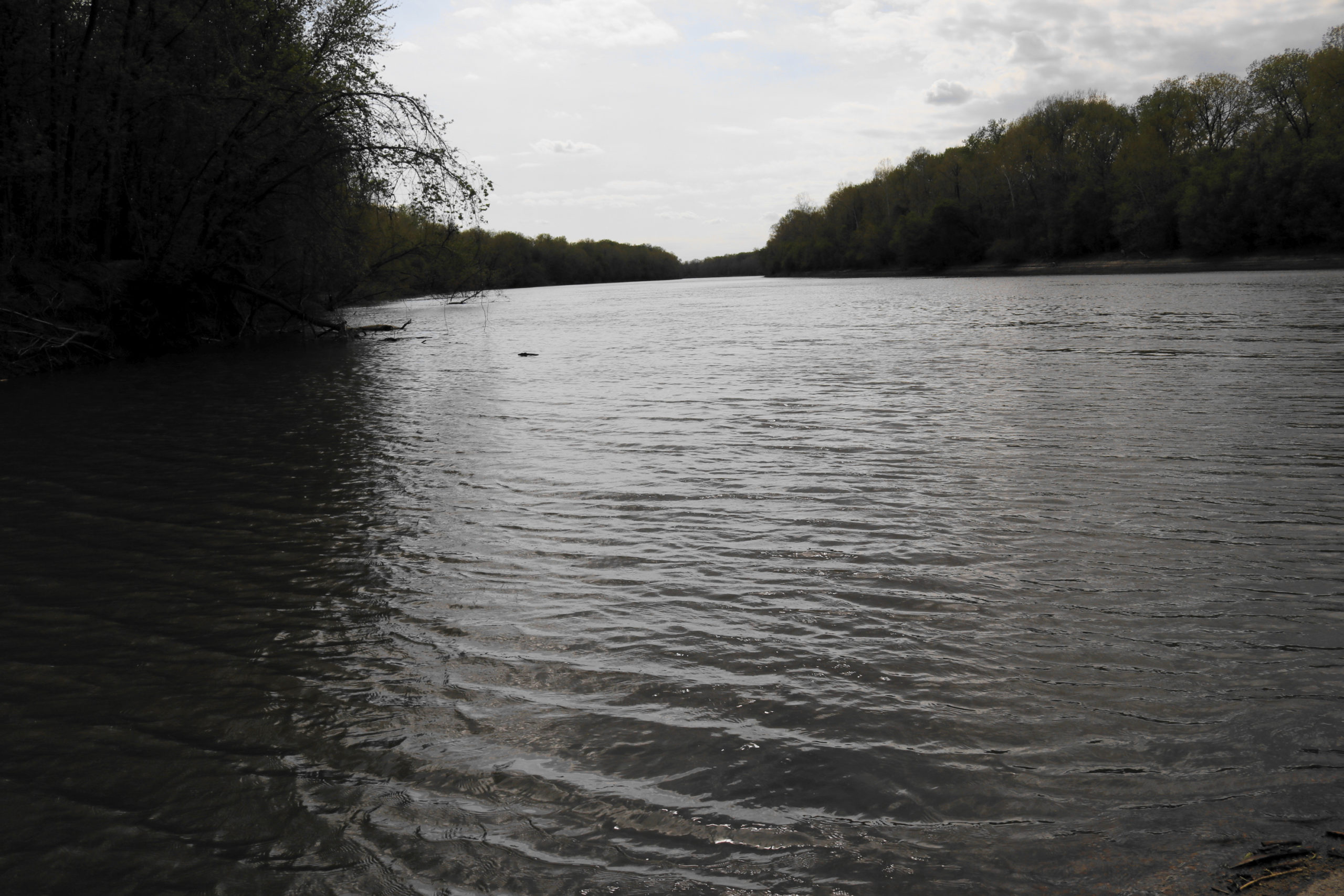 Finger Lakes State Park SUP