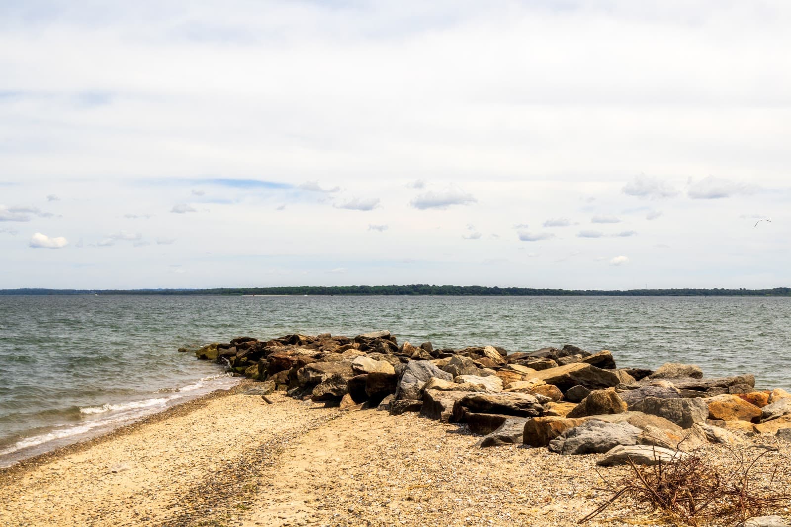 Greenwich Bay SUP