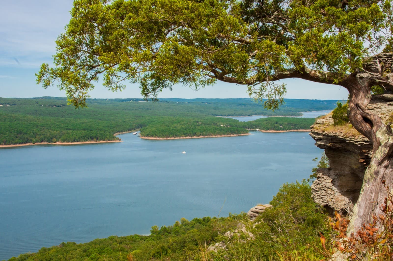 Greers Ferry Lake Paddleboard