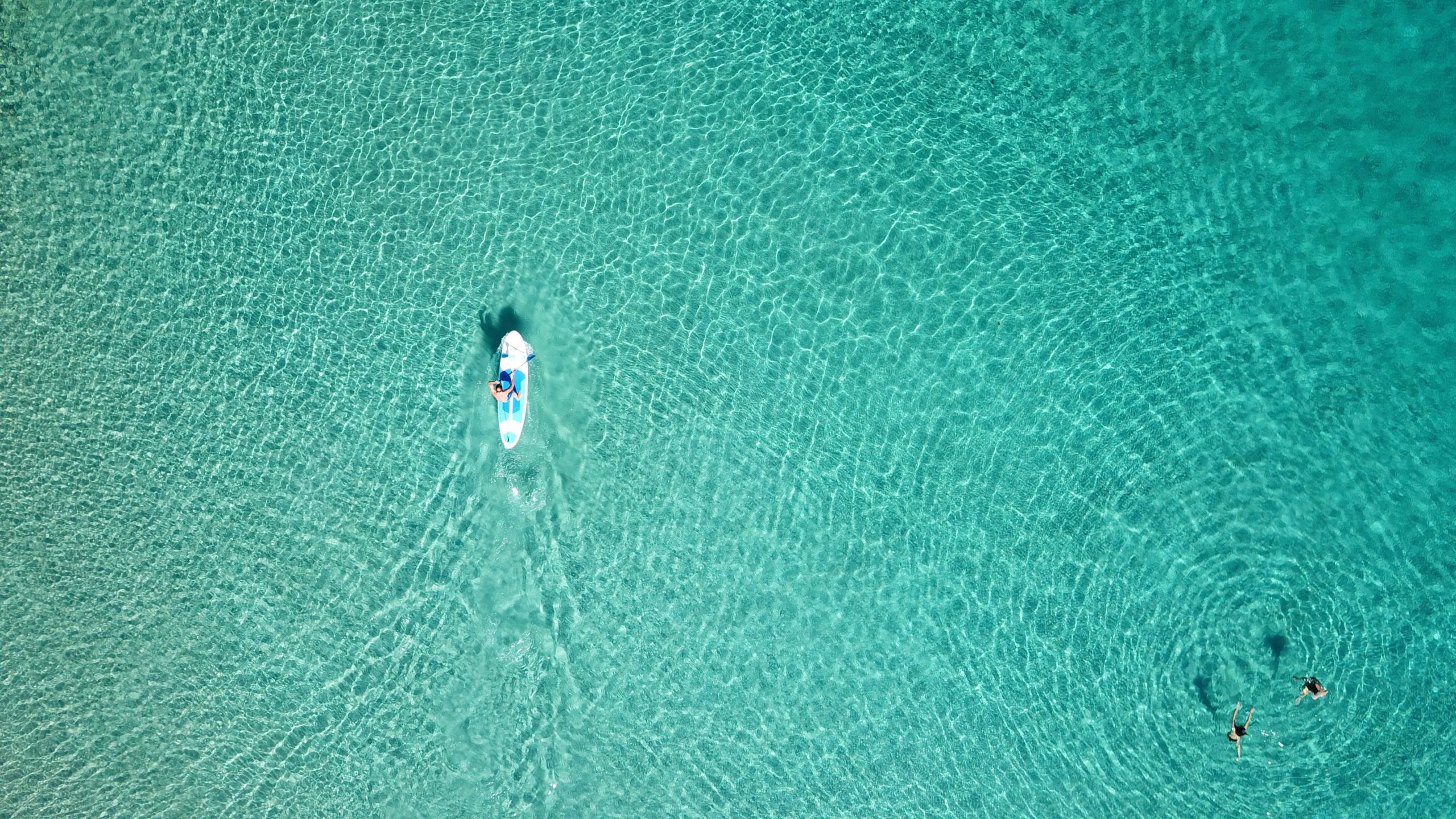 Hawaii Paddleboard