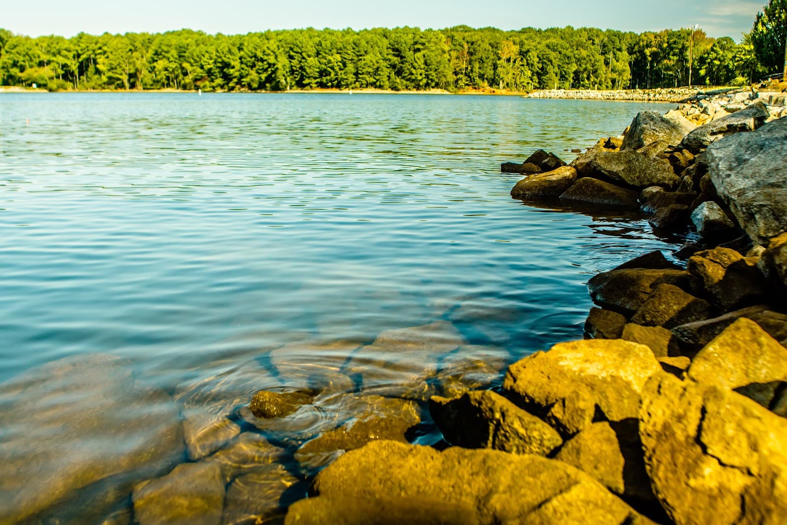 Lake Murray SUP