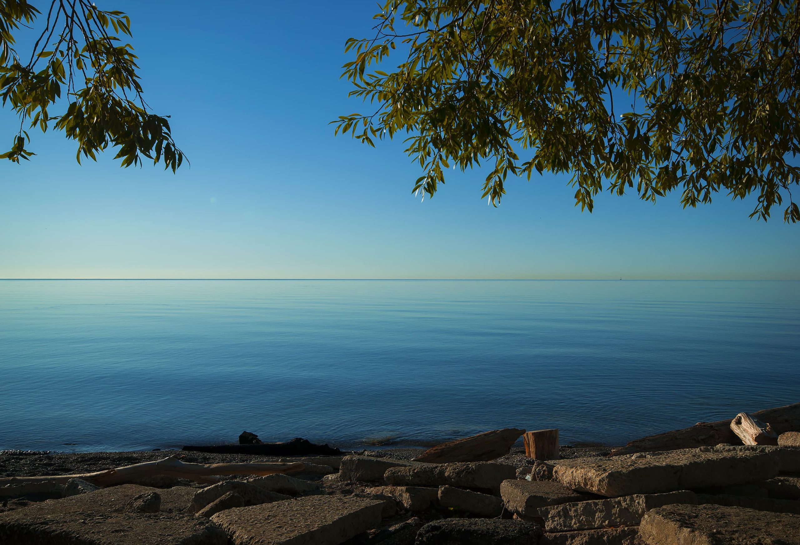 Lake Ontario SUP