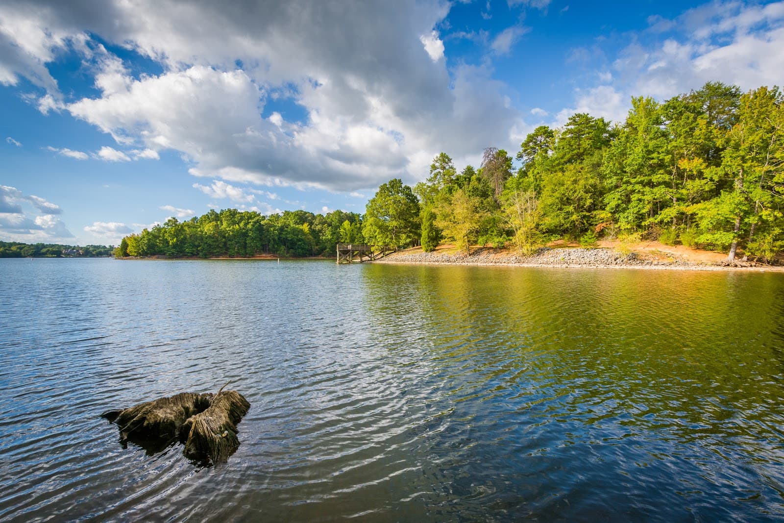 Lake Murray SUP