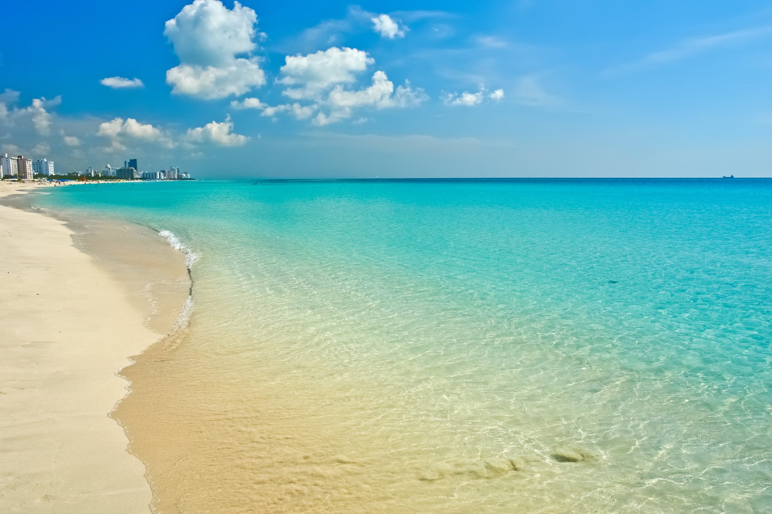 Miami Beach Paddleboard