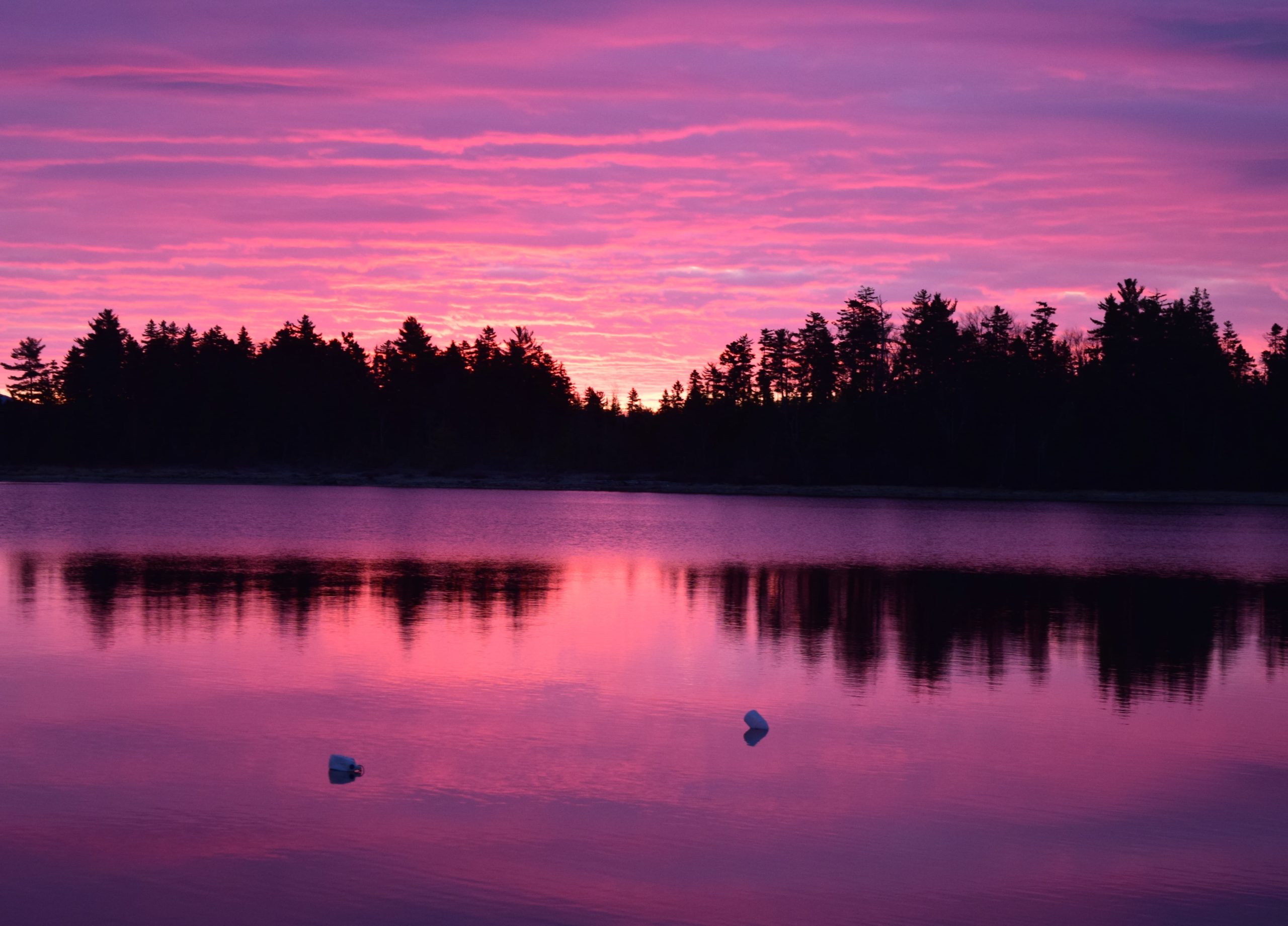 Moosehead Lake SUP