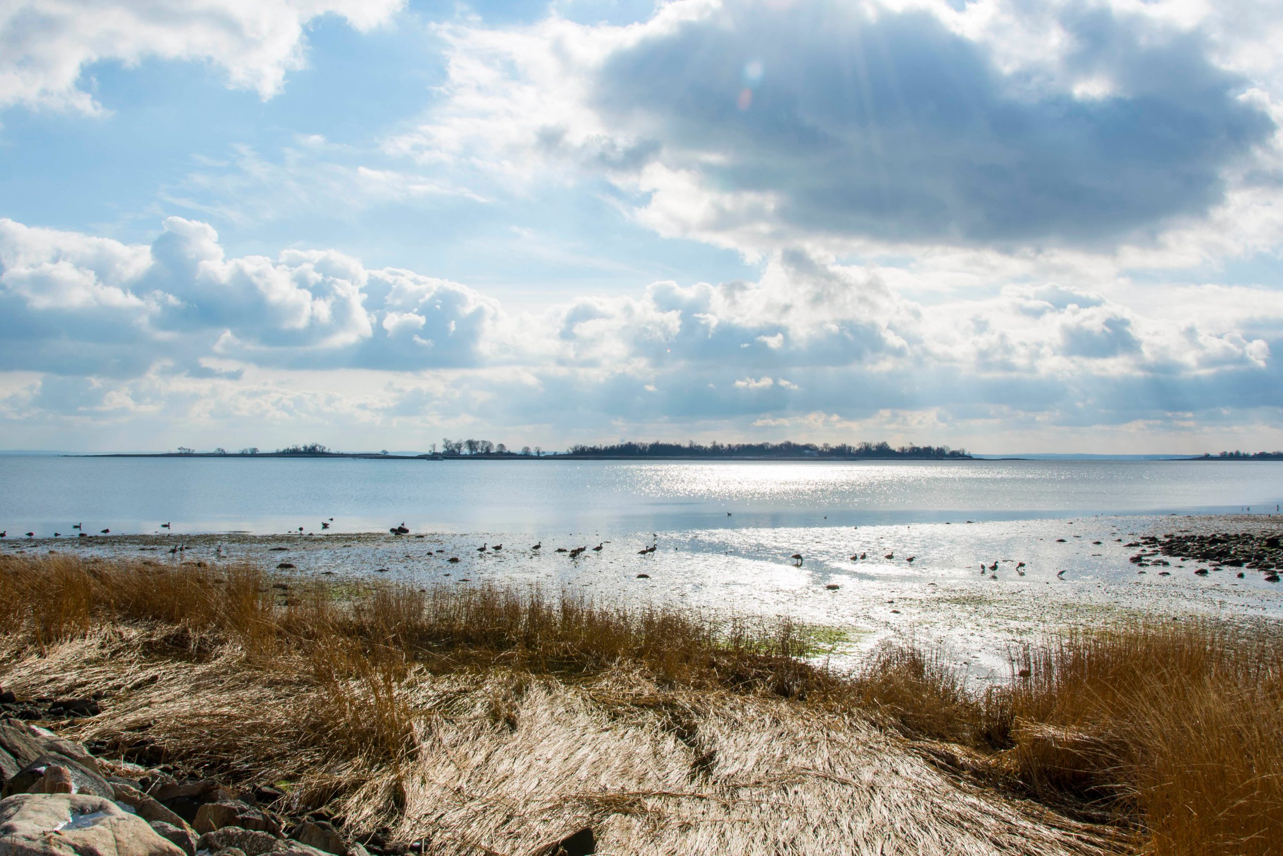 Norwalk Islands Paddleboard