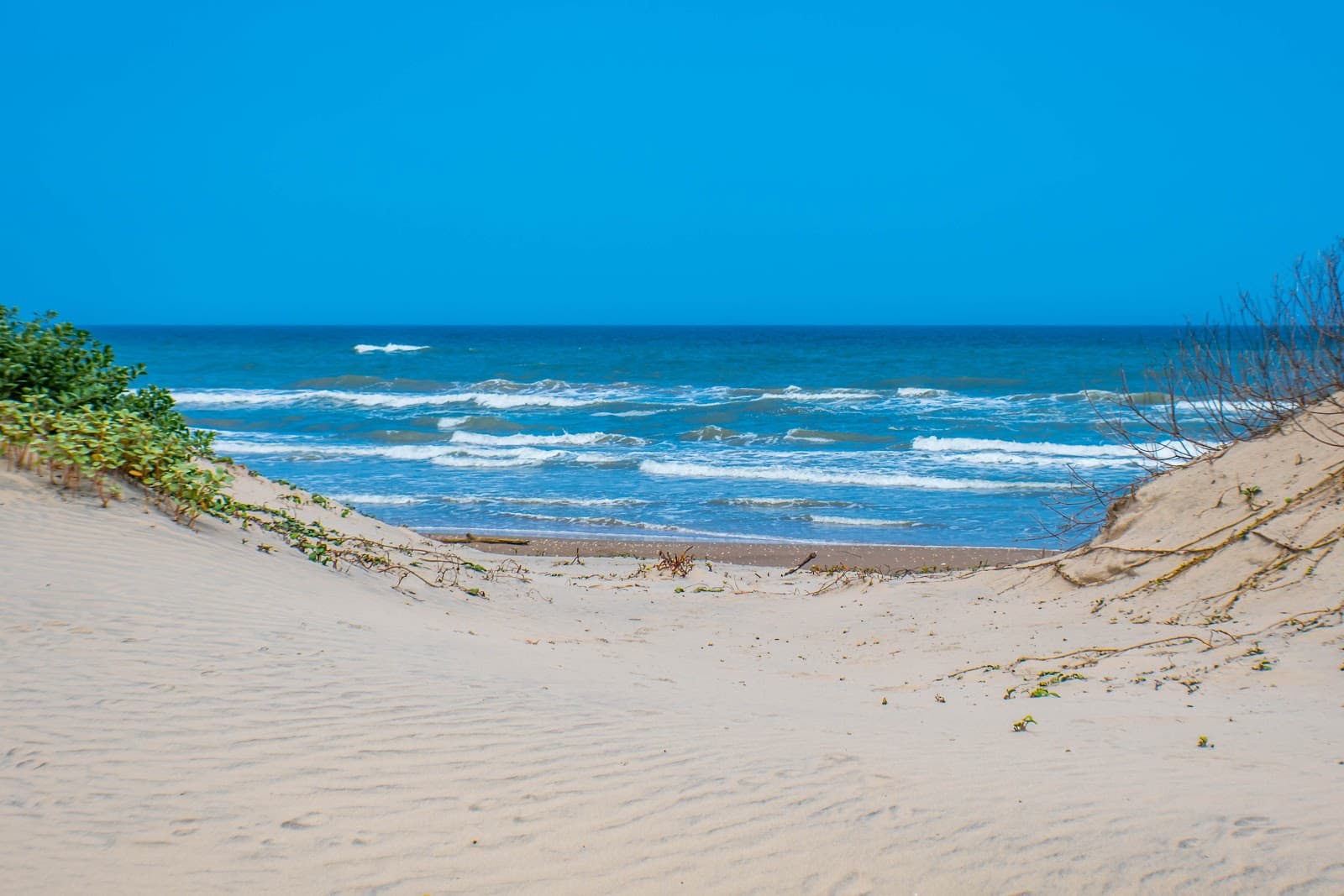 South Padre Island Paddleboard