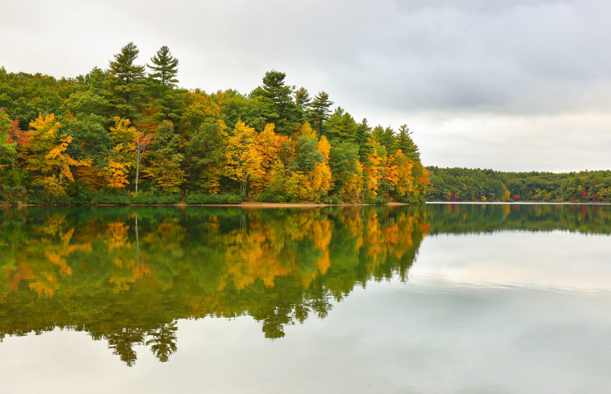 Walden Pond SUP