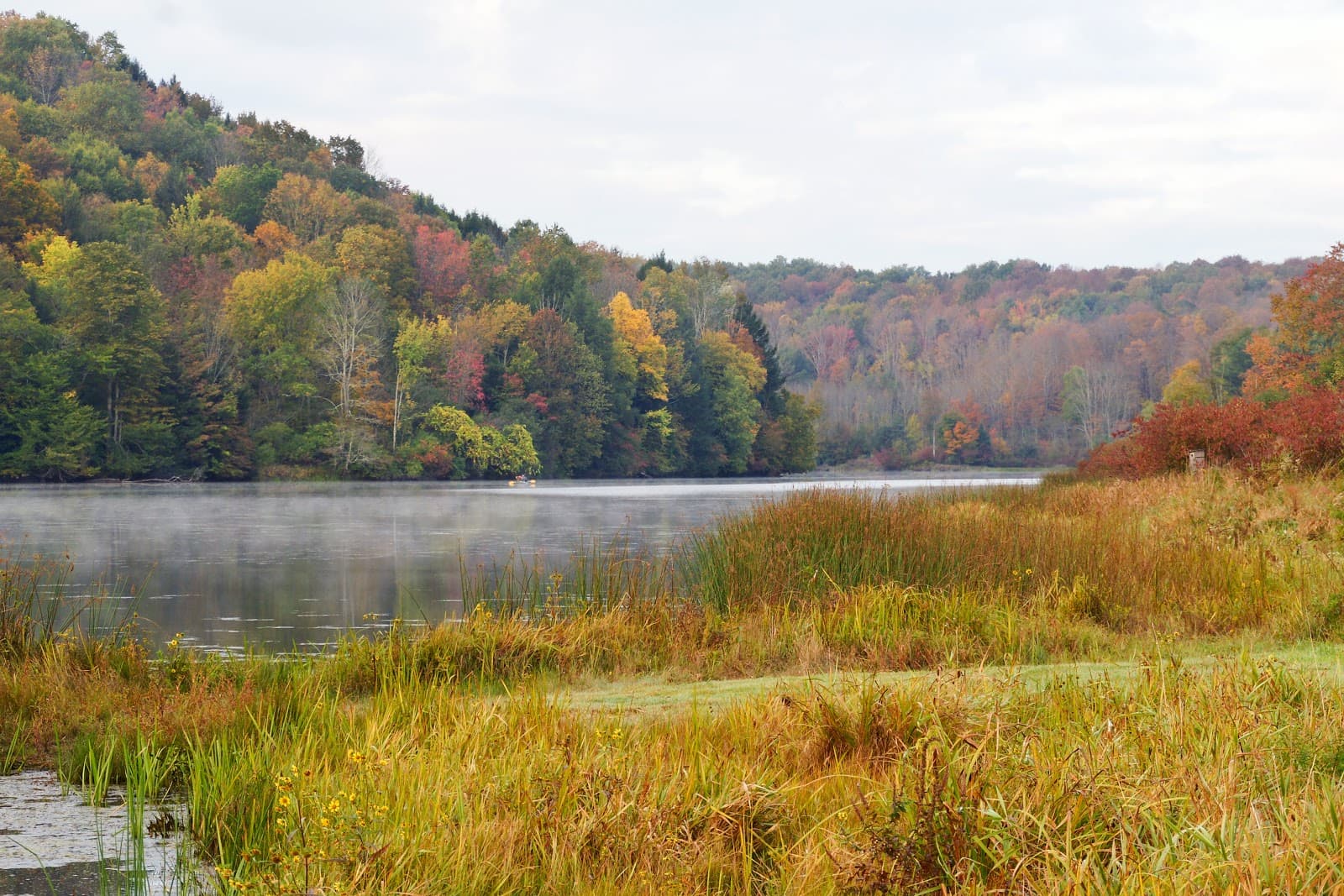 Yellow Creek SUP