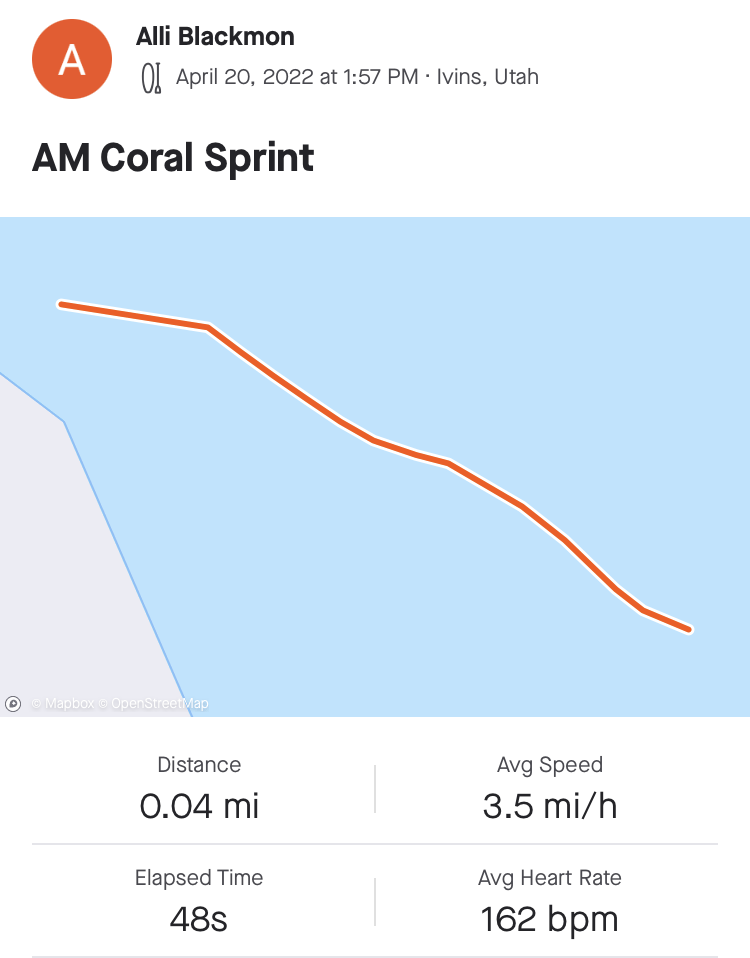 Aqua Marina Coral Review 2023